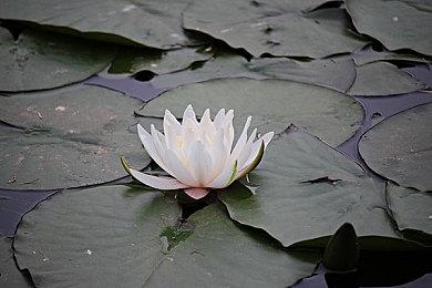 《星际海盗》大型更新“采掘”上线 新任务强力BOSS登场